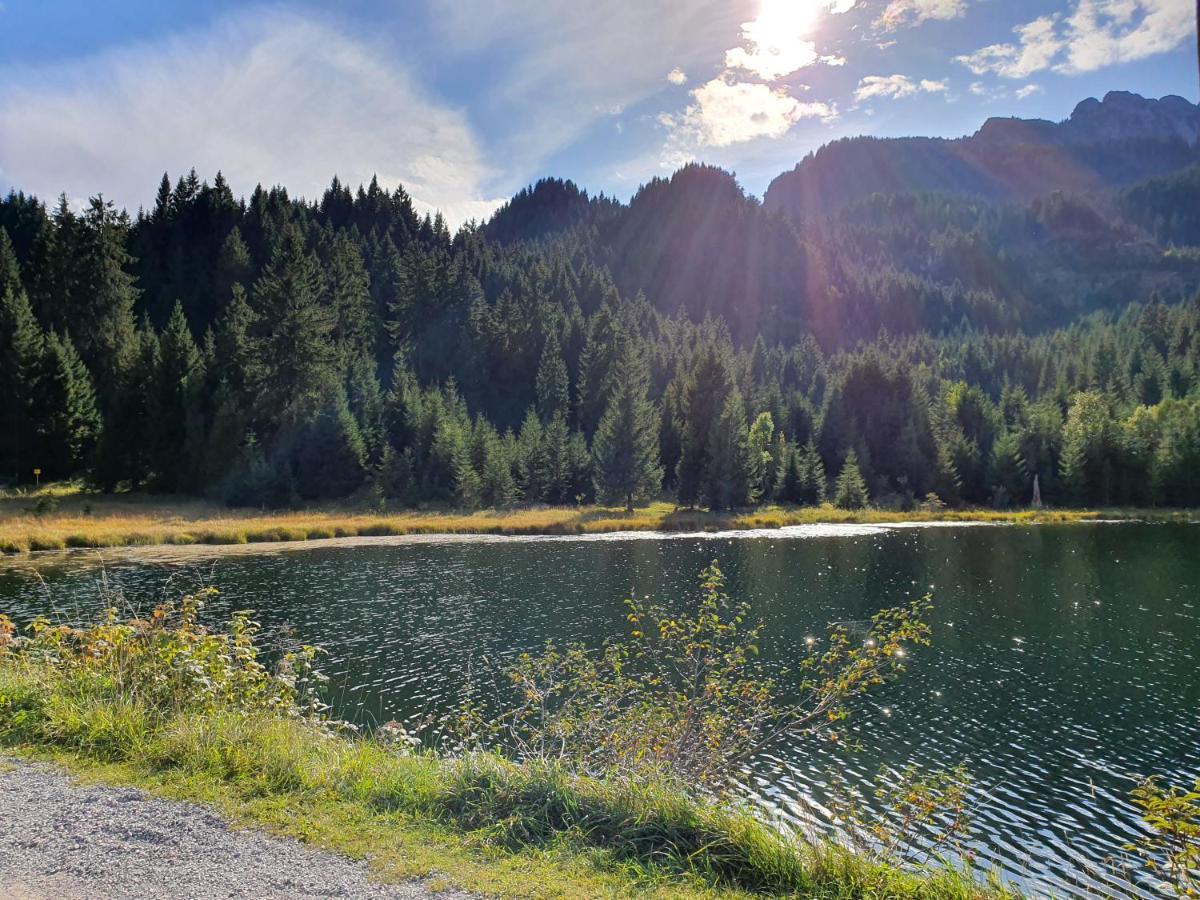الشقق الفندقية روتتهفي  Alpenhof Waengle المظهر الخارجي الصورة