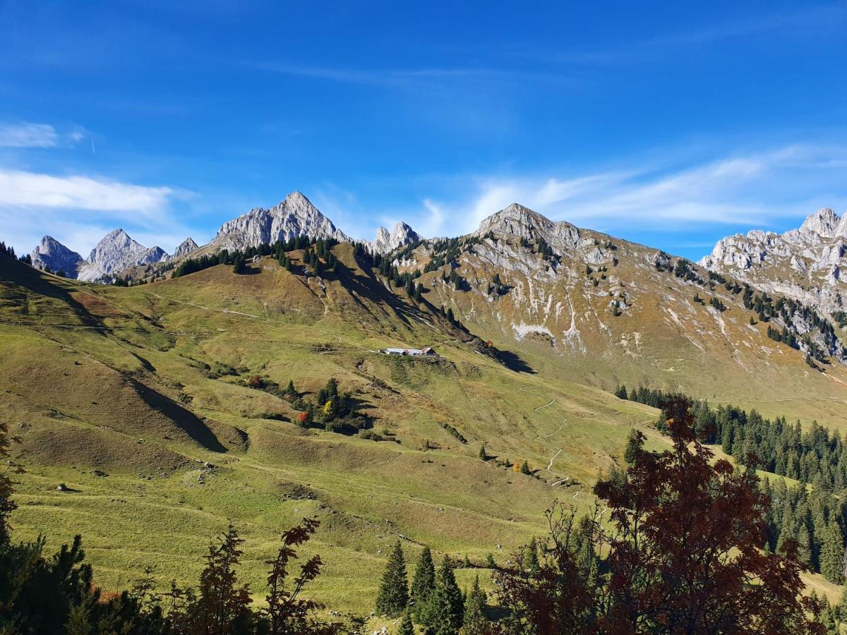 الشقق الفندقية روتتهفي  Alpenhof Waengle المظهر الخارجي الصورة